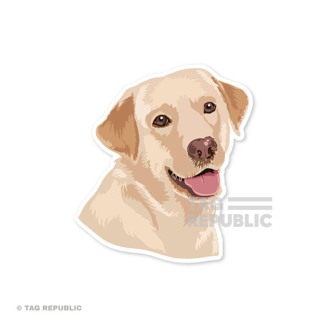 Fluffy Friends, Labrador - vinyylitarra